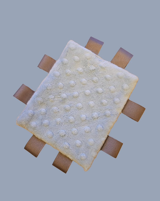 Dinosaur Crinkle Toy